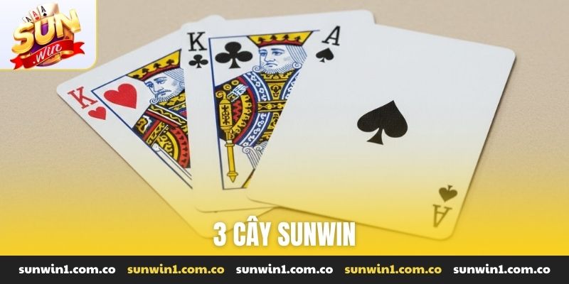 3 cây Sunwin