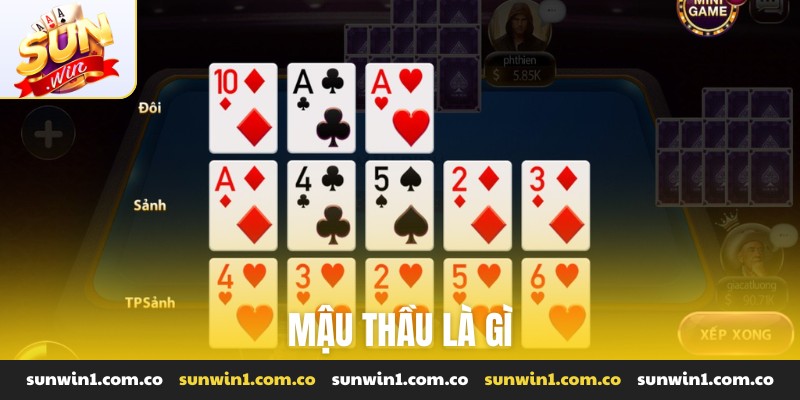 Mậu thầu là gì